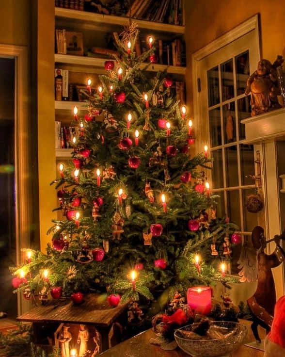 Candlelit Christmas tree glows in vintage library corner setting