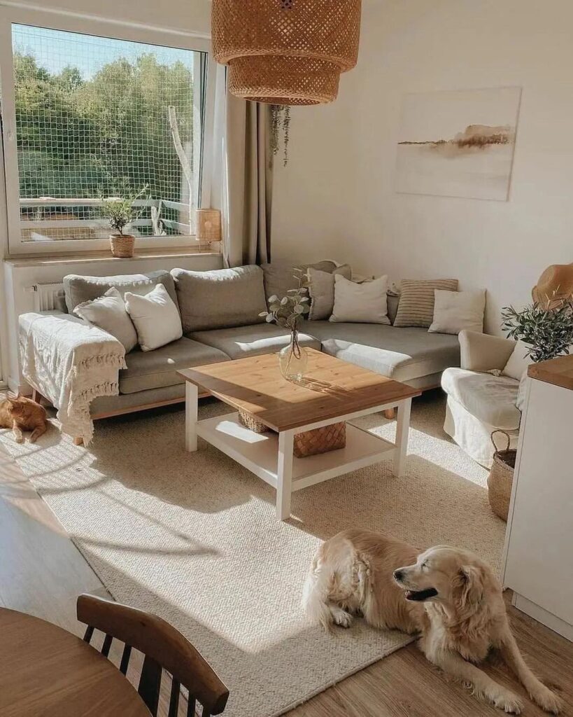 Cozy living room with neutral decor and two dogs