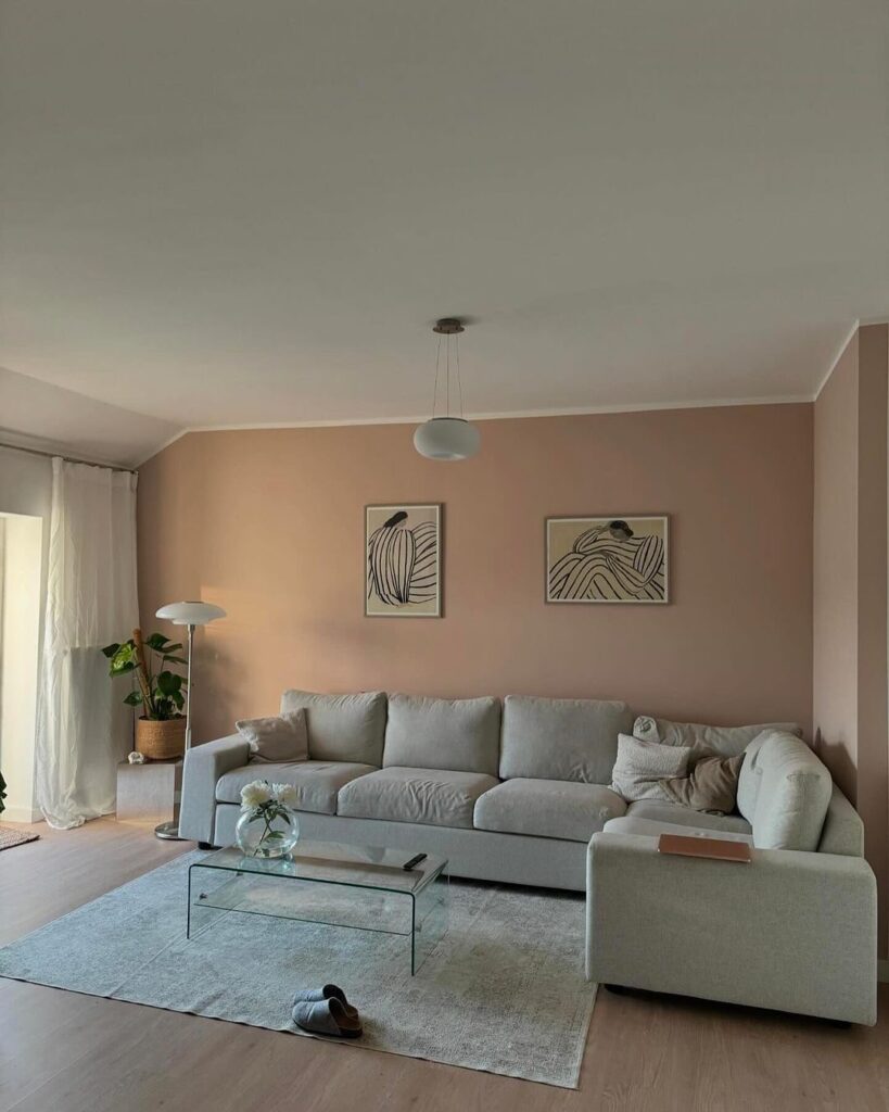 Minimalist living room with blush walls, gray sofa.