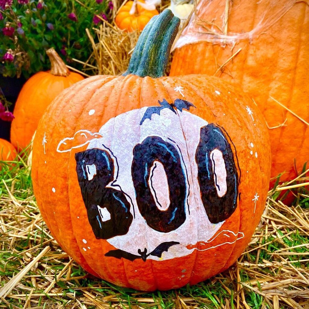 Pumpkin painted with "BOO" and Halloween motifs