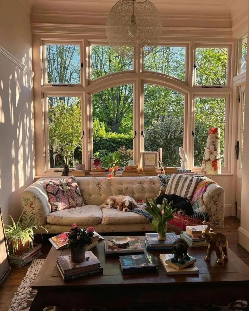 Sunny room with large windows floral couch and sleeping dog