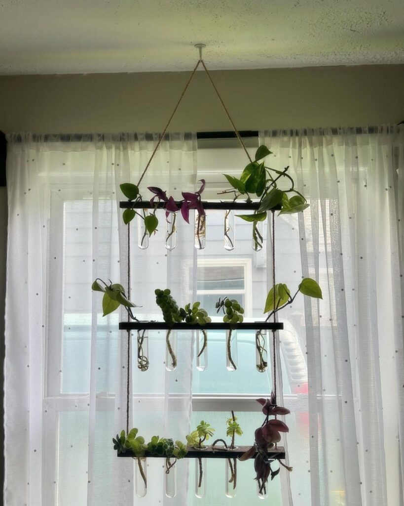 Three-tiered hanging plant system with glass vials by window.