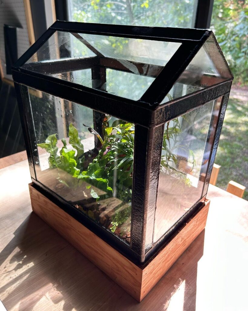 House-shaped glass terrarium with plants by window