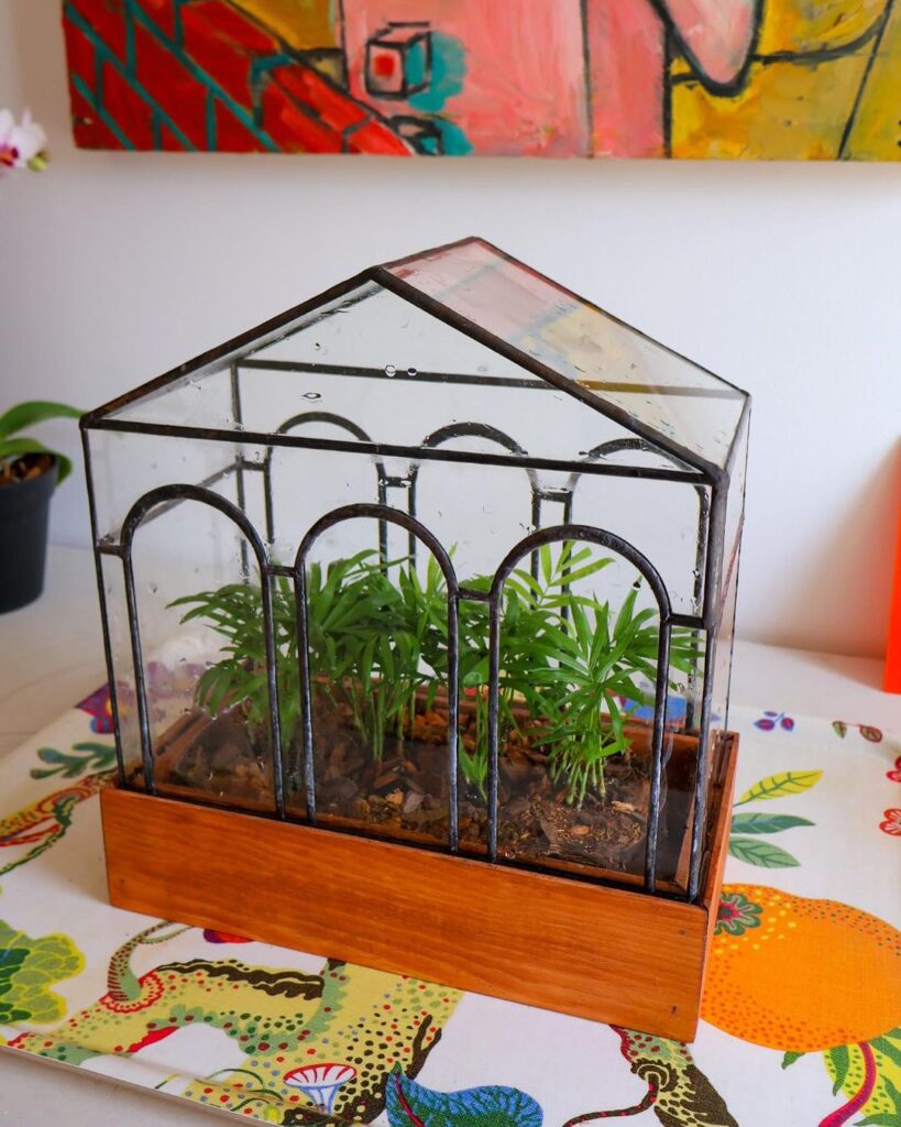 Small house-shaped terrarium with green plants on patterned surface.