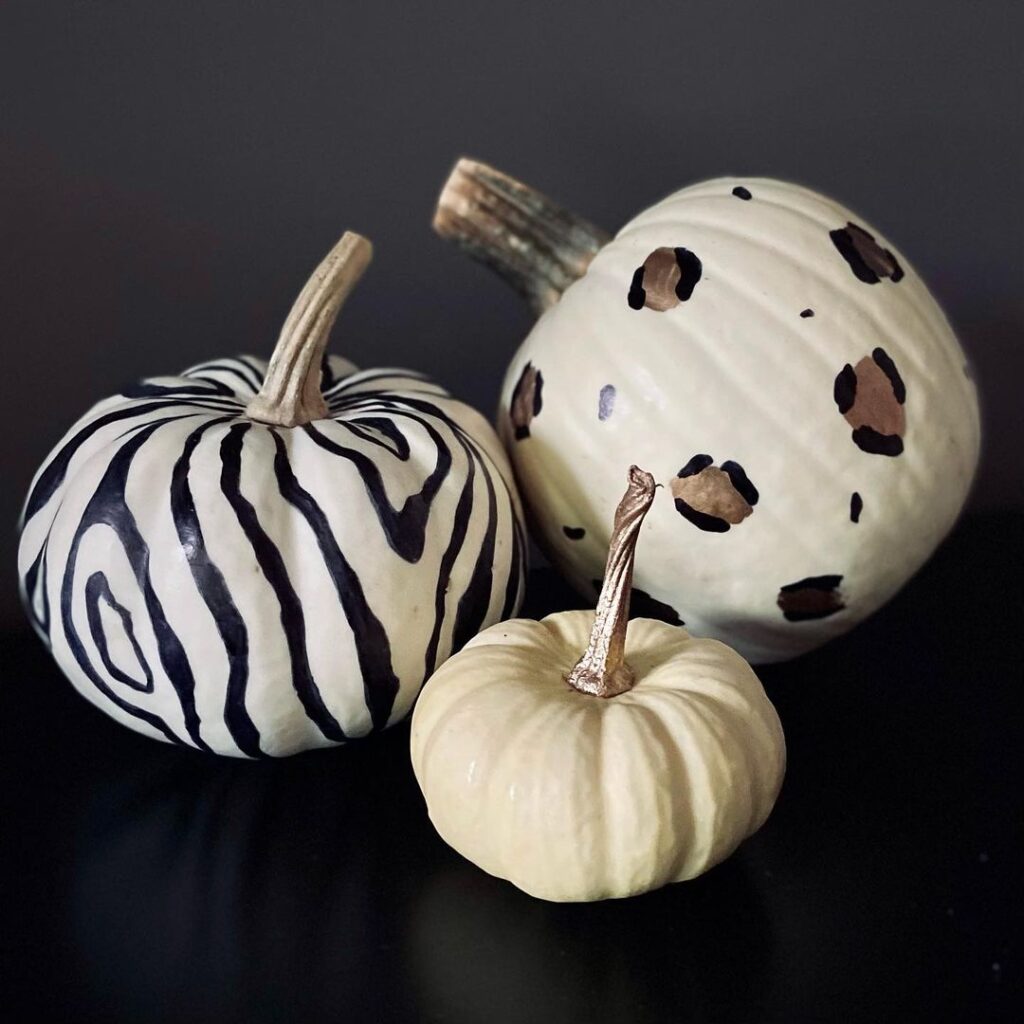 Three white pumpkins painted with zebra and leopard patterns