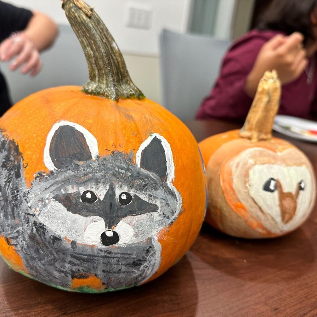 Pumpkins painted with raccoon and owl faces on wooden table.