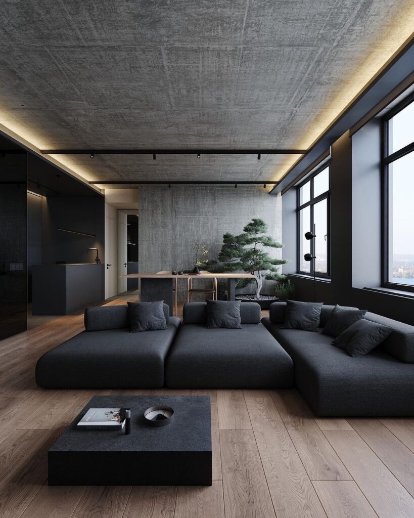 Modern dark living room with bonsai tree