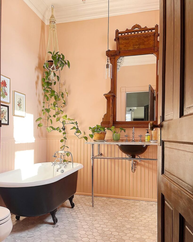 Victorian bathroom with peach walls featuring clawfoot tub and hanging plants