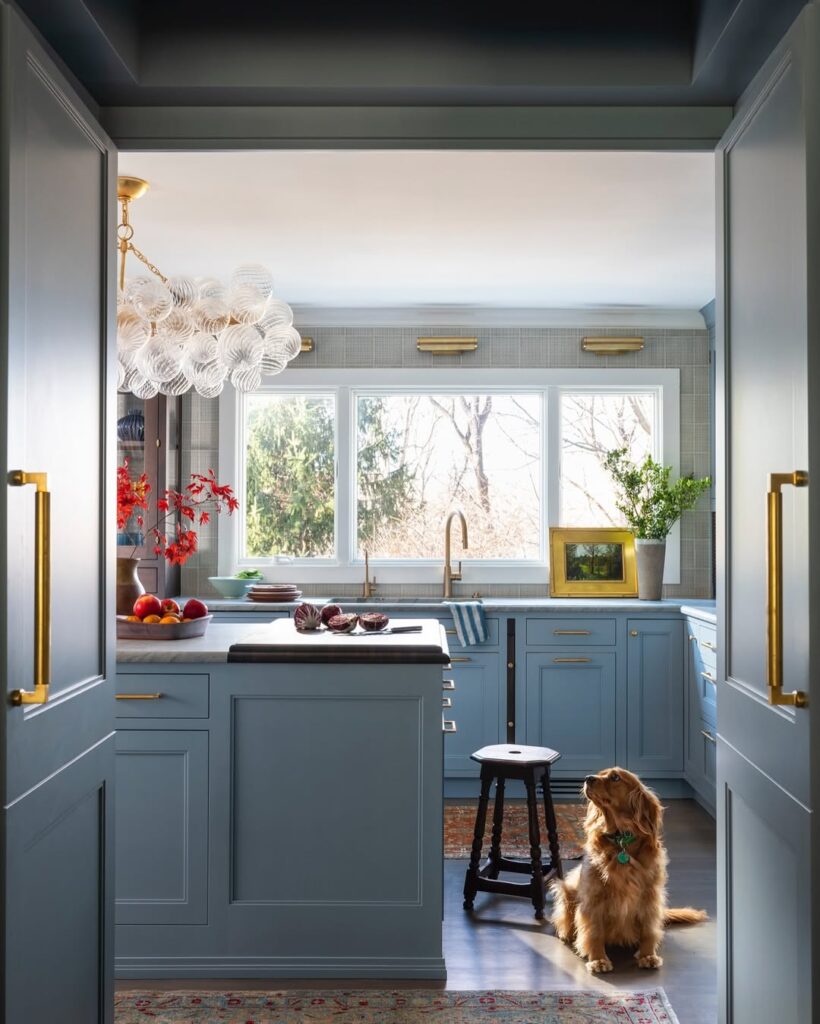 Blue kitchen with glass chandelier large windows and golden retriever