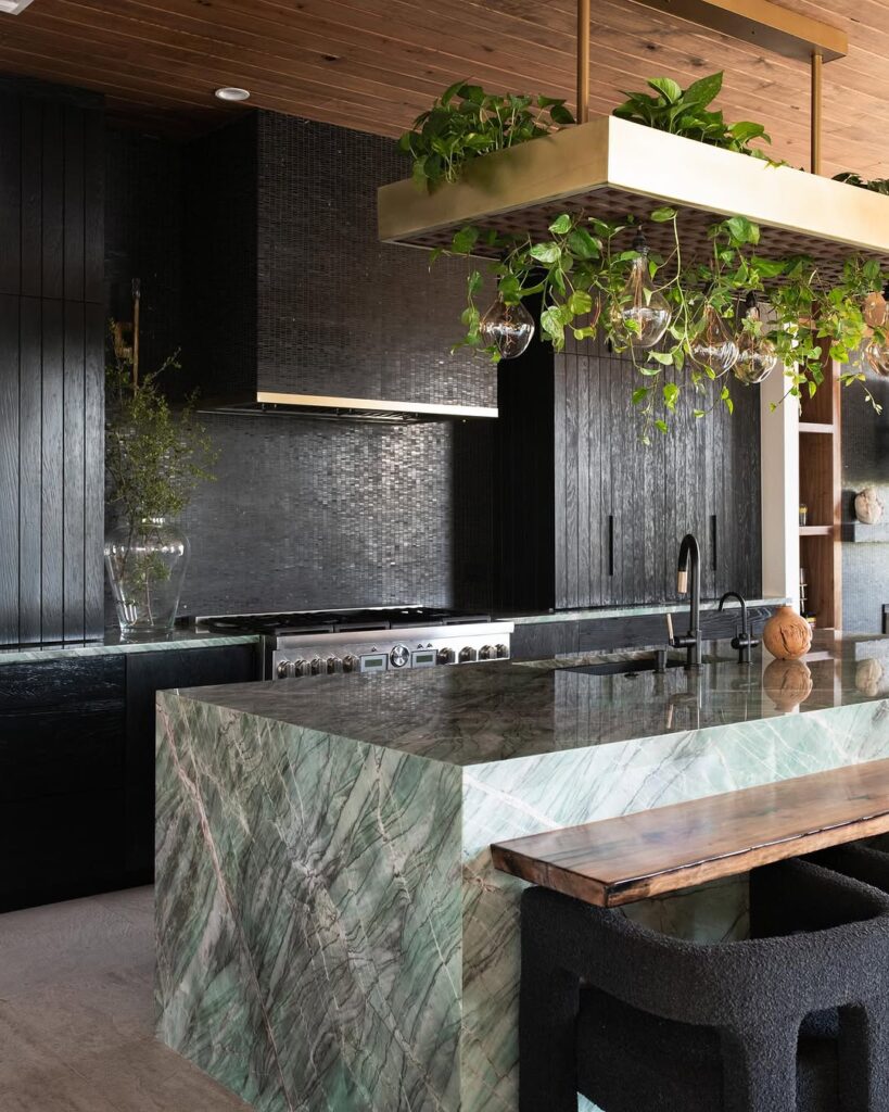 Modern kitchen with black cabinets hanging plants and green marble island