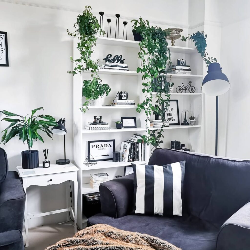 White bookshelf with trailing plants books and black sofa beneath