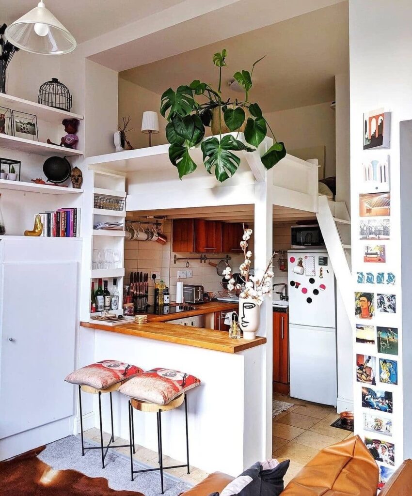 White kitchen with wooden counter loft bed and monstera plant